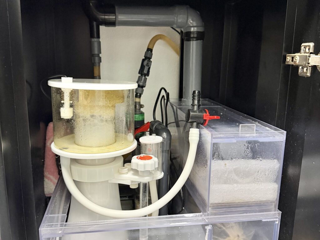 水槽トラブル対応後の復旧作業