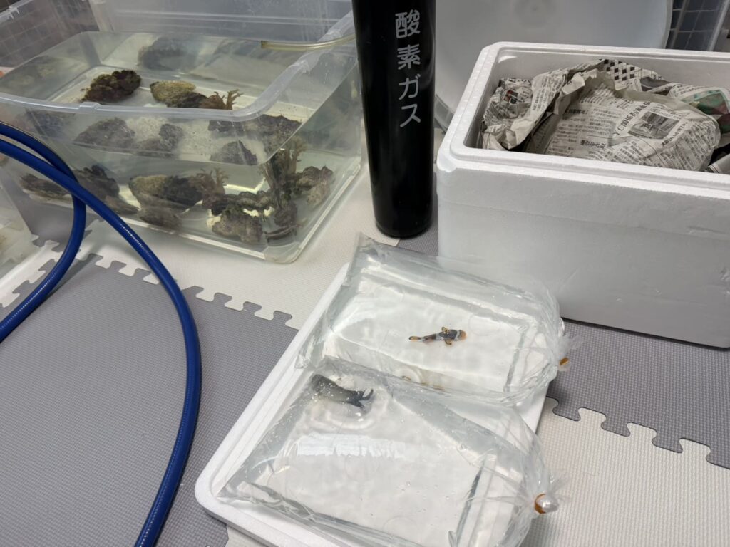 水槽水漏れトラブル  海水魚 パッキング