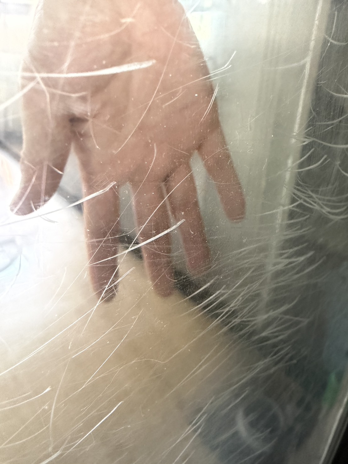 水槽 アクリル板 長年の使用により細かな傷や深い傷がついている